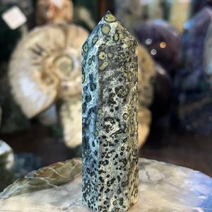 🎄SALE🎄Kambaba Crystal Point!